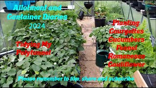 DWW Gardening 2024  Tidying my Polytunnel and Planting Out Courgettes Cucumbers and More [upl. by Lounge]