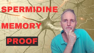 Can Spermidine Improve Memory Loss [upl. by Lemrahc]