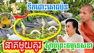 កាន់តែអស្ចារ្យ នាគមួយគូមកស្តាប់ព្រះធម្មទេនា មហាជាតក  រាជិនីលង្វែក [upl. by Bernete289]