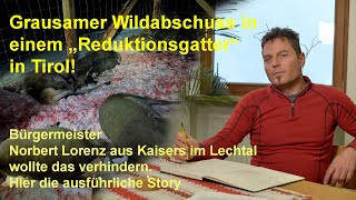 Grausamer Wildabschuss im Tiroler Lechtal Der Bürgermeister kommt zu Wort [upl. by Yeaton]