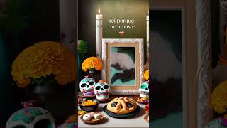 Tobías 💔 cat love gatos diademuertos tobi poddle pets viralvideo shorts amor teextraño [upl. by Lerrej393]