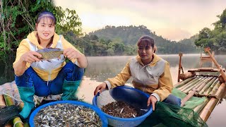 Drop nets to catch shrimp and fish in the lake to sell for money Off Grid Survival  Pham Tâm [upl. by Zacarias]