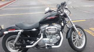 Sportster 883 straight piped [upl. by Madancy]