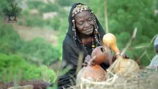 Musical Traditions in Mali  Now Money is More Important than Humanity [upl. by Alayne]