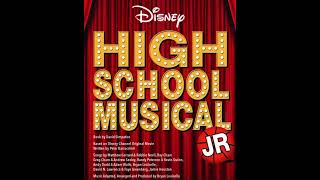 Auditions  High School Musical Jr  Bryan Louiselle [upl. by Einatirb674]