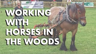 Working with Horses in the Woods [upl. by Nerej]