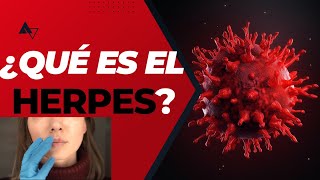 ¿Qué es el Herpes [upl. by Cahilly]