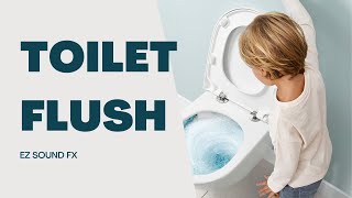 Toilet Flush Sound Effect [upl. by Rogerson598]