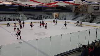 Naperville Hockey Club Varsity vs IceCats State Playoffs [upl. by Barbie]