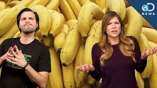 Why Are Bananas Going Extinct [upl. by Winstonn]