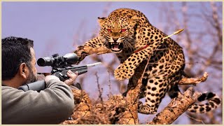 Full Video How Do American Hunters And Farmers Deal With Million Of Wild Boar And Leopard By Guns [upl. by Esadnac]