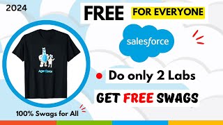 Get New Salesforce Swags for Free  How to get Salesforce swags in 2024 [upl. by Nmutua]