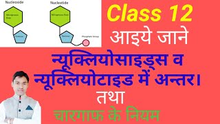 difference nucleosides and nucleotides class 12 and Chargaff rules vidio 67 [upl. by Atiuqcir]