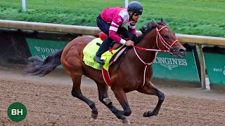 Japanese Kentucky Derby Contenders Breeze Fierceness Bath Kentucky Derby 150 Training 43024 [upl. by Manlove84]