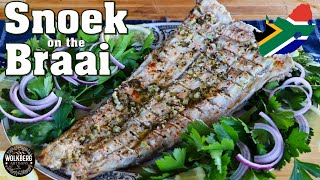 Snoek Braai Recipe  Grilled Barracouta Thyrsites atun  Snake mackerel  South African Recipes [upl. by Rebekkah]