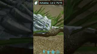 achatina ark arksurvivalevolved [upl. by Ain598]