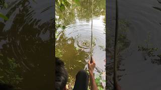 hook fishing fishing hookfishing [upl. by Ahsienal]