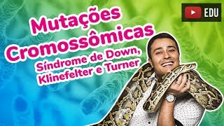 Mutações Cromossômicas  Síndrome de Down Klinefelter e Turner  Prof Paulo Jubilut [upl. by Tempa824]