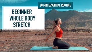 20 min  Beginner Whole Body Stretch [upl. by Denys]