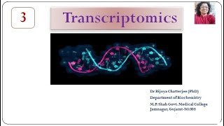 TRANSCRIPTOMICS Part 3 [upl. by Gunas473]