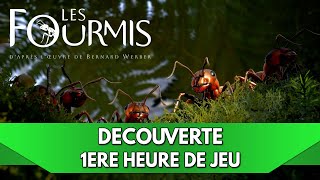 Les Fourmis Gameplay FR  Découverte 1ère Heure de Jeu [upl. by Lenrad]