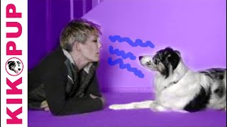 How to communicate with a dog in his own language [upl. by Rebeca]