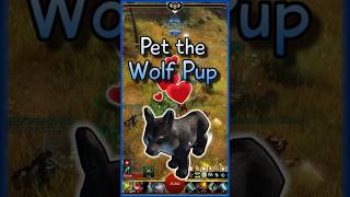 Guild Wars 2  Pet the Wildlife Wolf Pup [upl. by Einimod265]