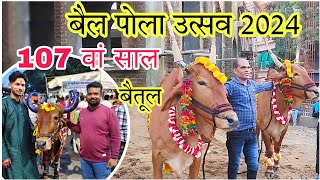 बैल पोला 2024  बैतूल पोला उत्सव  bail pola 2024  पोला त्यौहार [upl. by Havelock]