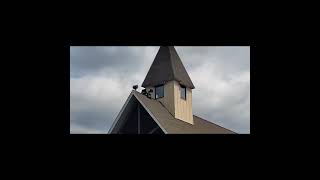 S1E9 St Joan of Arc Catholic Church [upl. by Tilden]