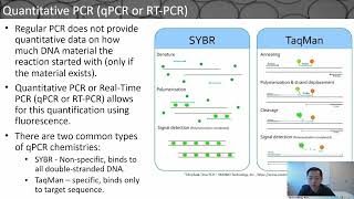 Droplet Microfluidics in PCR Technology and Applications [upl. by Edana108]