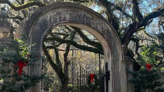 Hiking At Wormsloe Wormsloe State Historic Site Savannah Georgia [upl. by Alorac]