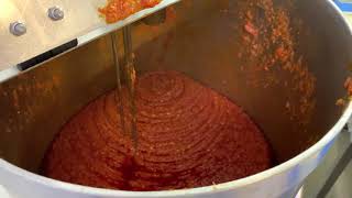 Murzan PI50 DN40 pumping bolognese sauce [upl. by Elwin]