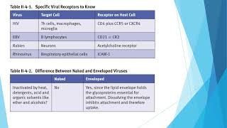 Viral Pathogenesis and Immune Response [upl. by Najar]