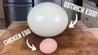 The Ostrich Egg Exploded Before I Could Slice It 🥲 shorts [upl. by Naivaf]