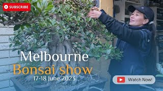 Madam Bonsai Bonsai Show Melbourne June 2023 [upl. by Clovah]