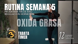 RUTINA DE OXIDACIÓN DE GRASA REGULACIÓN HORMONAL ENTRENAMIENTO EN CASA O GYM 12 MINUTOS SEMANA 5 [upl. by Hana]