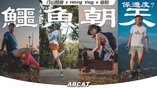 🐊『鱷魚朝天』係邊度？Keen 行山鞋實測｜4K Hiking Vlog＃127 Pat Heung Fire Lookout [upl. by Bolte]