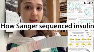 The first protein to be sequenced  Sanger sequencing of insulin [upl. by Frankel]