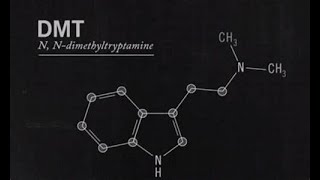 DMT RUINED MY LIFE 2 years later [upl. by Eromle100]