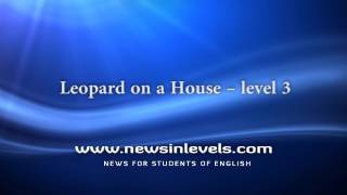 Leopard on a House – level 3 [upl. by Wolpert]