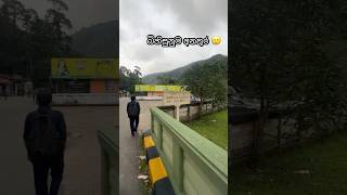 කවුද වැරදි  😰 accident srilanka carefull dangerous travel shorts norton [upl. by Ytsenoh53]