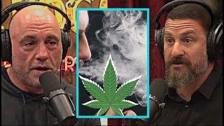 Joe Rogan on How Weed Affects Disciplined People [upl. by Jamel]