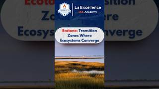 Ecotone ecotone environmentupsc2025 prelims2025 ias environmentcurrentaffairs laexcellenceias [upl. by Verras793]