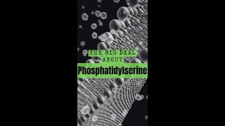 What is Phosphatidylserine [upl. by Jonathon]