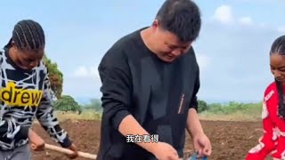 菲莉丝：树大招风啦乌被遣返五年，大家庭娘家人能量满满简单快乐 [upl. by Raycher]