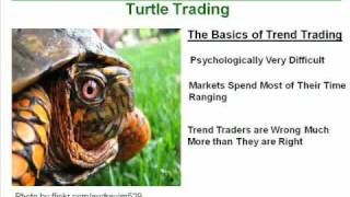 163 How to Trade Trends in Any Market [upl. by Nilhtac267]