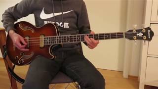 Wolfgang Ambros  Schifoan  Bass Cover [upl. by Verdha863]