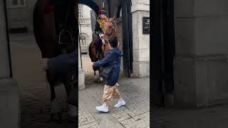 tourist touching horse kingsguard [upl. by Hsekin]