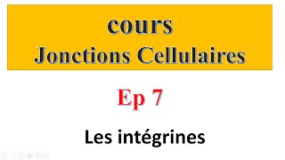 COURS Jonctions cellulaires Ep 7 Les molécules d’adhésion  Les intégrines [upl. by Yanffit234]