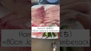 What is the difference between hamachi and buri yellowtail [upl. by Esilehs]